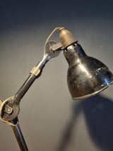 lampe gras 207