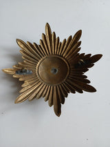 Rare PLAQUE INSIGNE CASQUE A POINTE HELMET MECKLENBURG STRELIG 1871-99